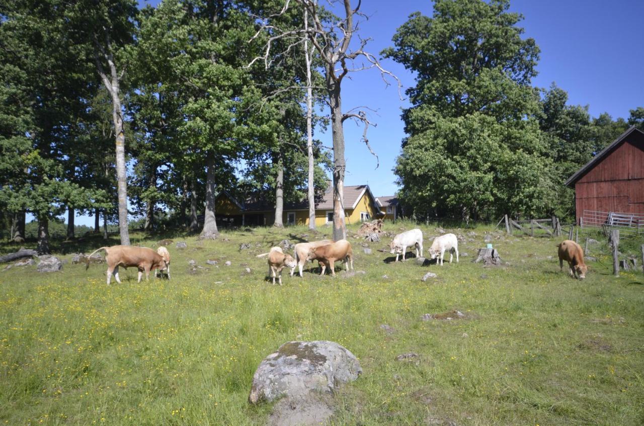 Ferienwohnung Gäststugan Skara Exterior foto